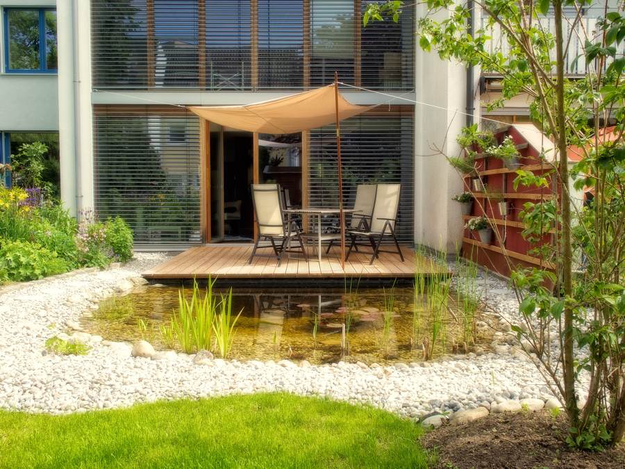 Kleine Krokodile im Reihenhausgarten