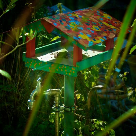 Vogelhaus mit Wasseranschluss